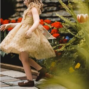 Noralee Provence Gold Dress | 4T